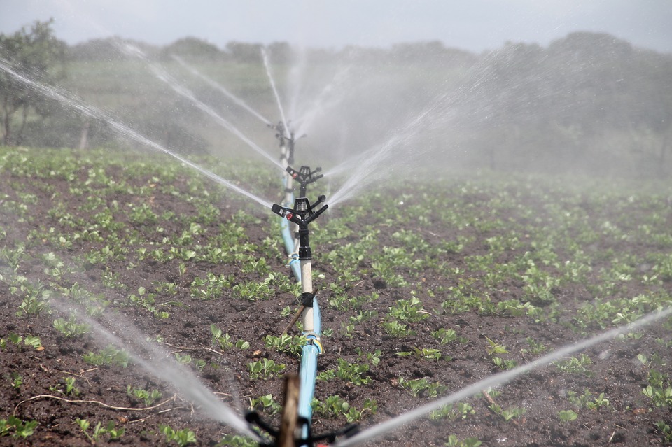 IFAD finances Guatemala's unique irrigation system with solar panels
