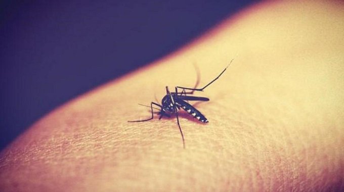 Dengue found in 30 lives and it affected 14000 people across country