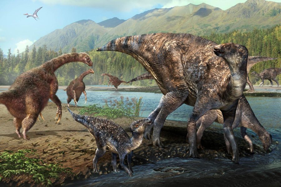 Researchers discover first North American co-occurrence of hadrosaur and therizinosaur tracks in Alaska 