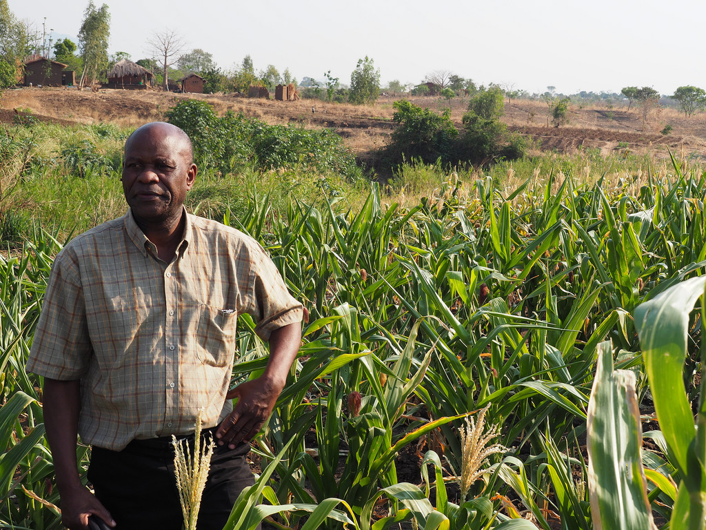IFAD grant for Africans in Latin America helping in greater social and economic inclusion
