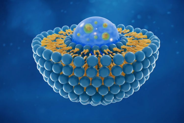 Combination therapy using nanoparticles to deliver drugs targeting cancer cells