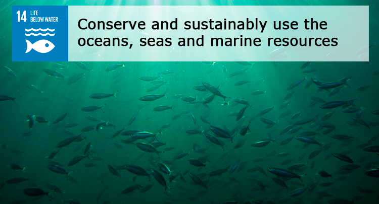 UN SDG 14 on Marine Biodiversity shows significant progress in Brazil, Belize and Seychelles