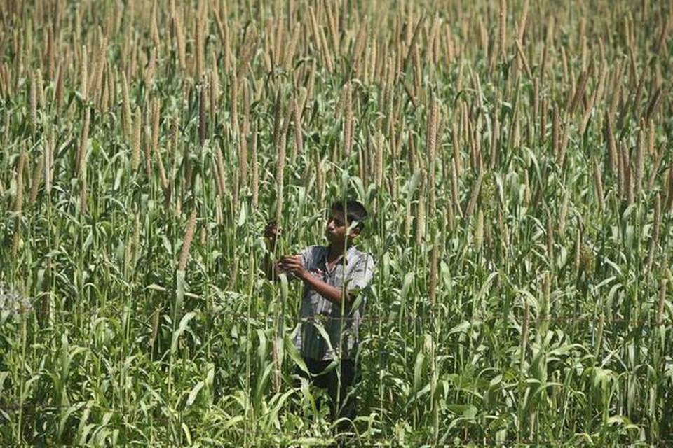 Union Minister proposes declaration of upcoming year as “International Year of Millets” to United Nations