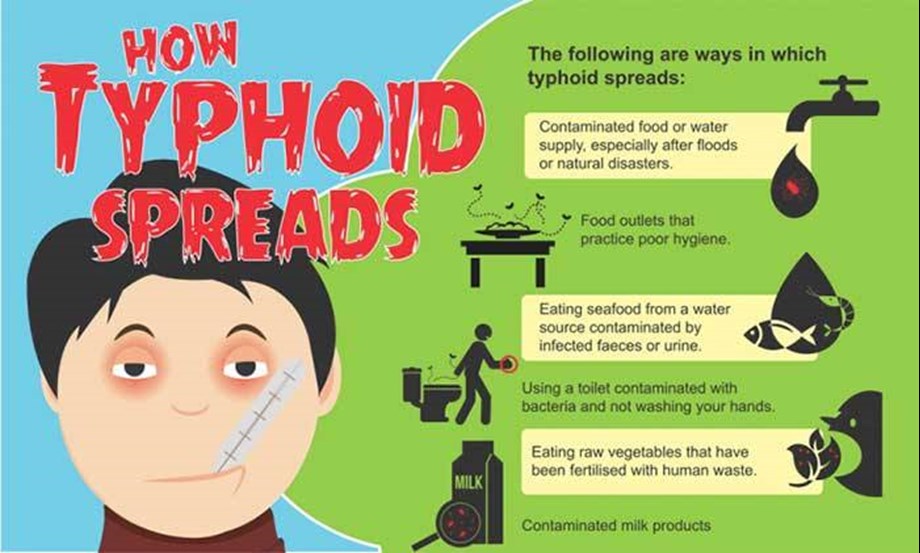 All you need to know about typhoid fever AgencyWire