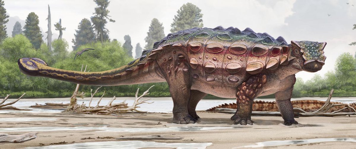 US Scientists discover new species of armored dinosaur 