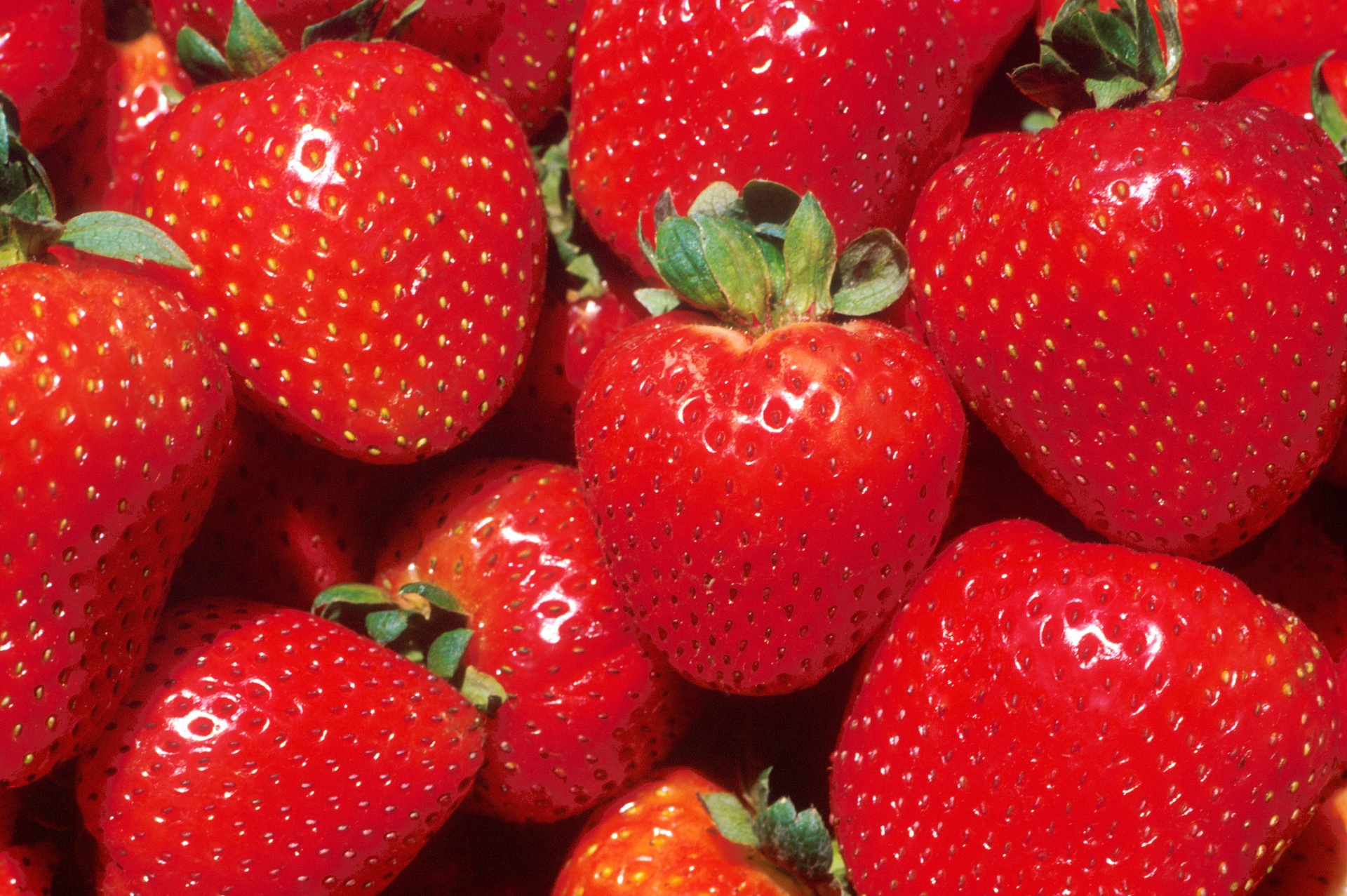 Strawberries can prevent colon inflammation and improve gut health