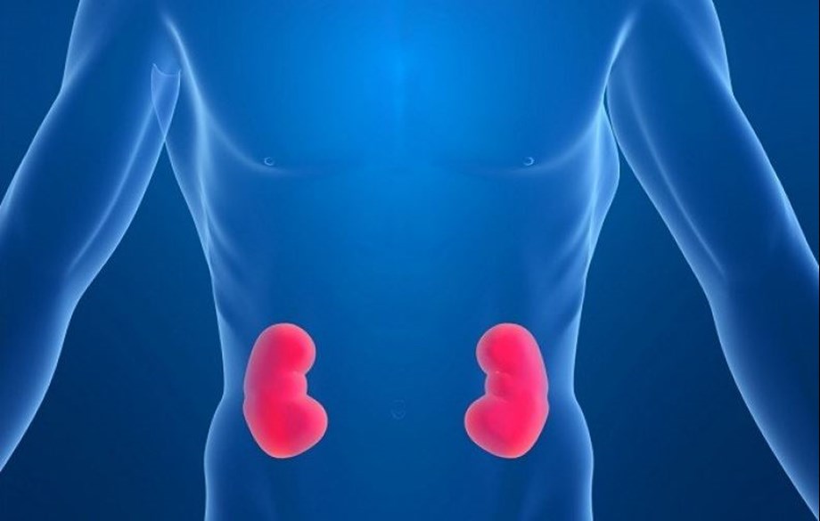 Vitamin B3 holds potential to prevent kidney injury Study Headlines