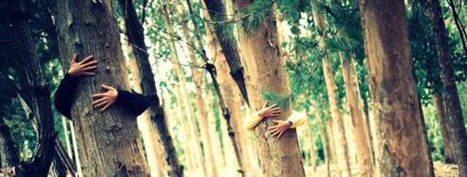 Chipko Movement’s 45th anniversary: All you need to know about this peaceful forest conservation initiative 