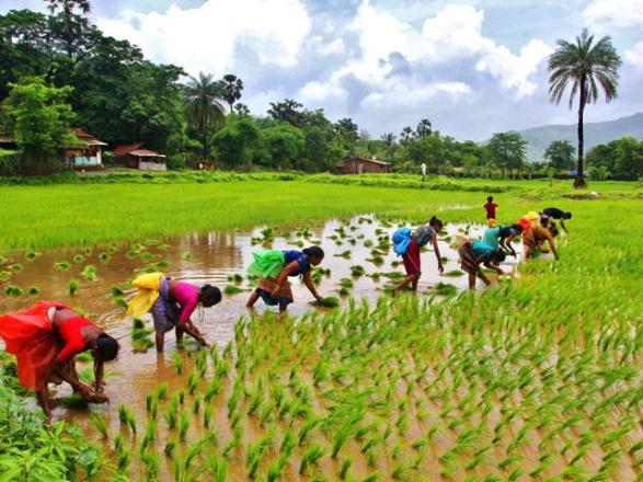 Solutions for Green Agriculture in East Asia: World Bank