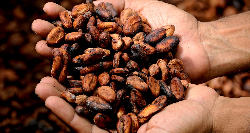 Reversing Africa’s cocoa paradox; Why Easter celebration signals a call to action