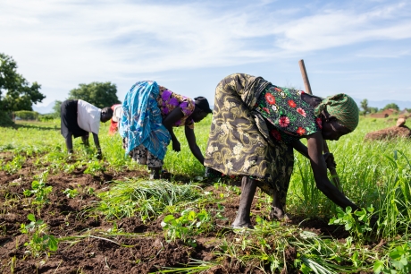 '50 X 2030' scheme to gather farming data through surveys