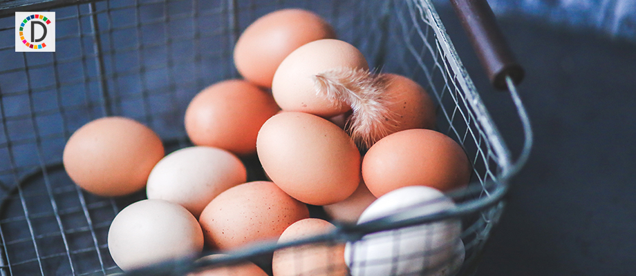 Maha govt plans for 'yellow revolution' to address growing demands for eggs
