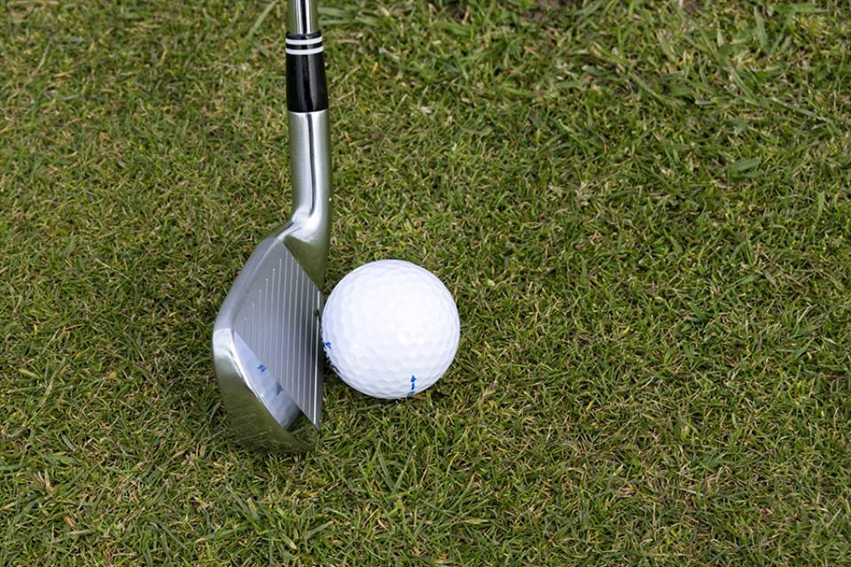 Golf-Taylor's putter drop immortalized in Canadian Open logo