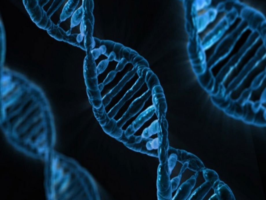 Research reveals new method for tracking gene activity across tissues ...