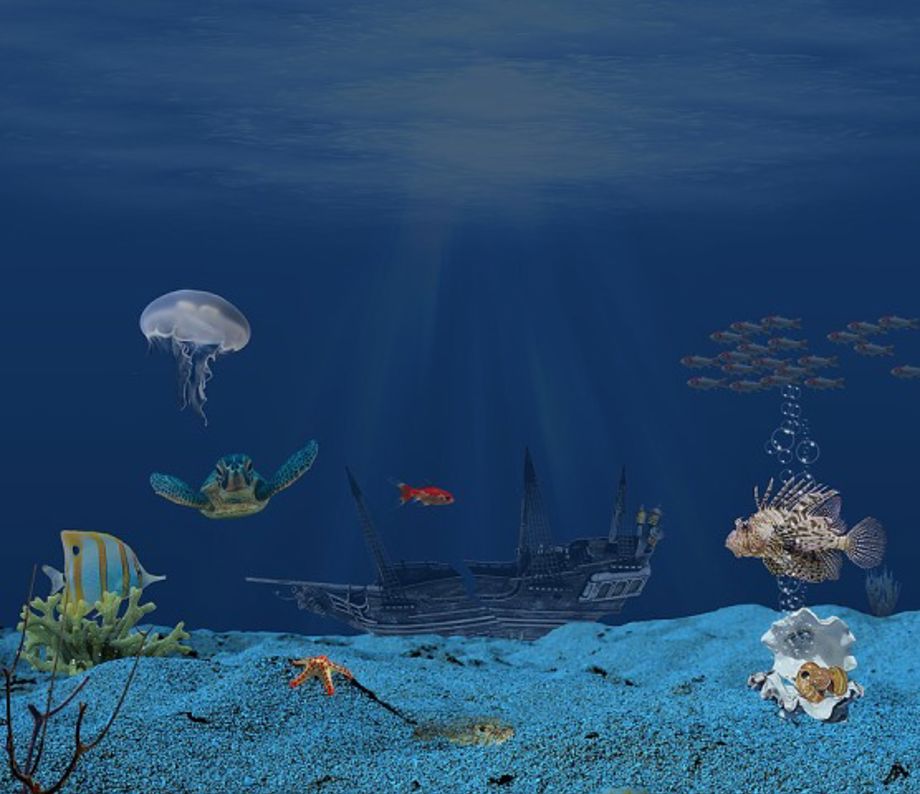 FEATURE-Race to the bottom? India plans deep dive for seabed minerals ...
