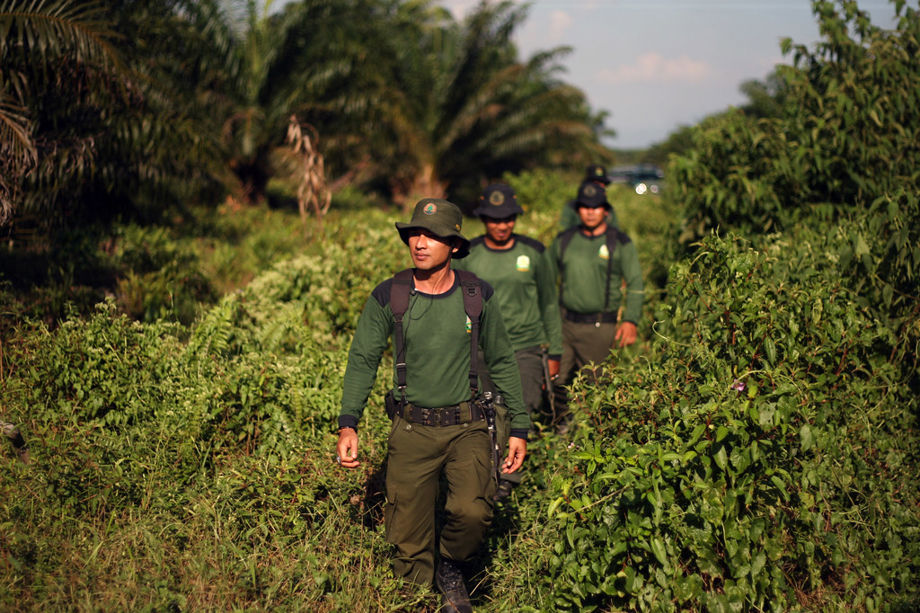 Guwahati hosts First Asian Ranger Forum with forest experts from 20 ...