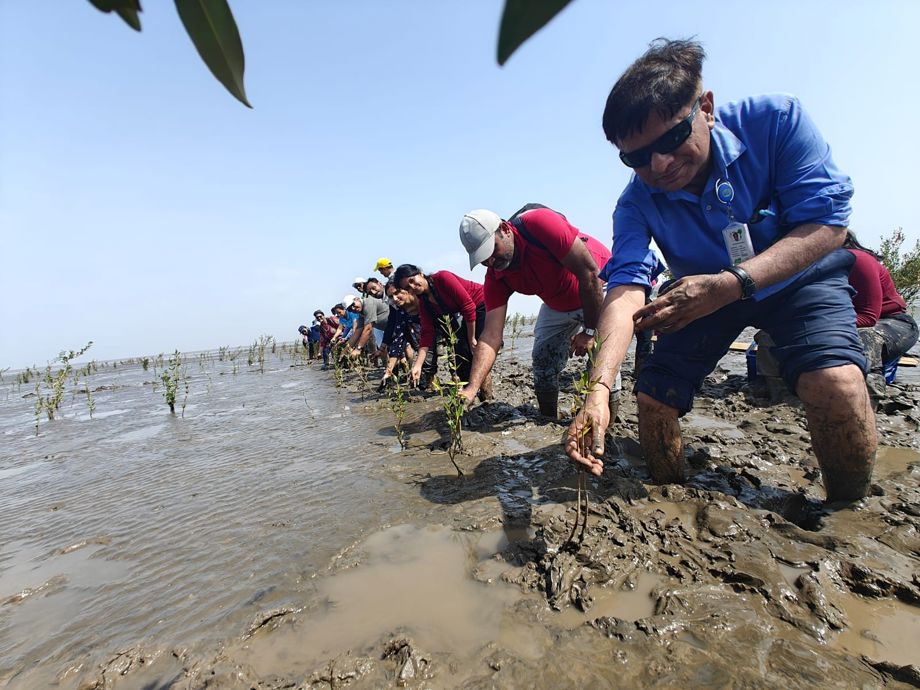 Deepak Group's Green Drive Uplifts Gujarat's Coastal Ecosystems