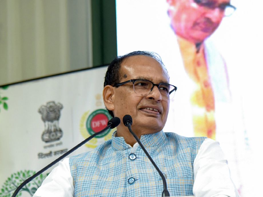 India's New Seed Act: A Game-Changer for Agricultural Integrity | Headlines