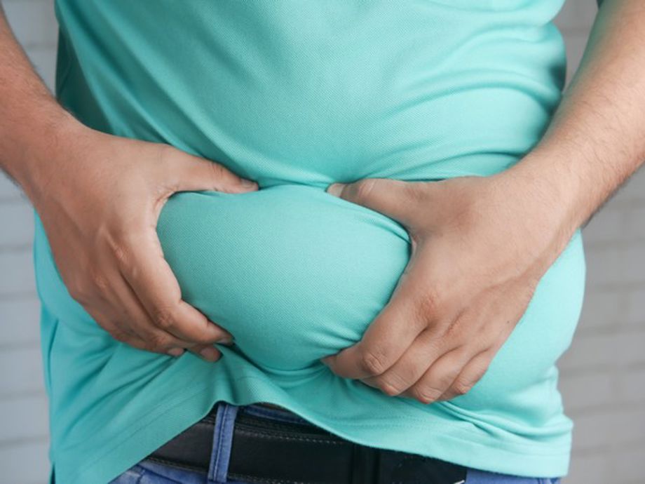 Fat cell development is significantly influenced by circadian clocks ...