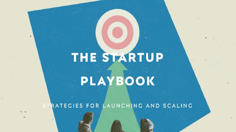 The Startup Playbook: Strategies for Launching and Scaling | Business