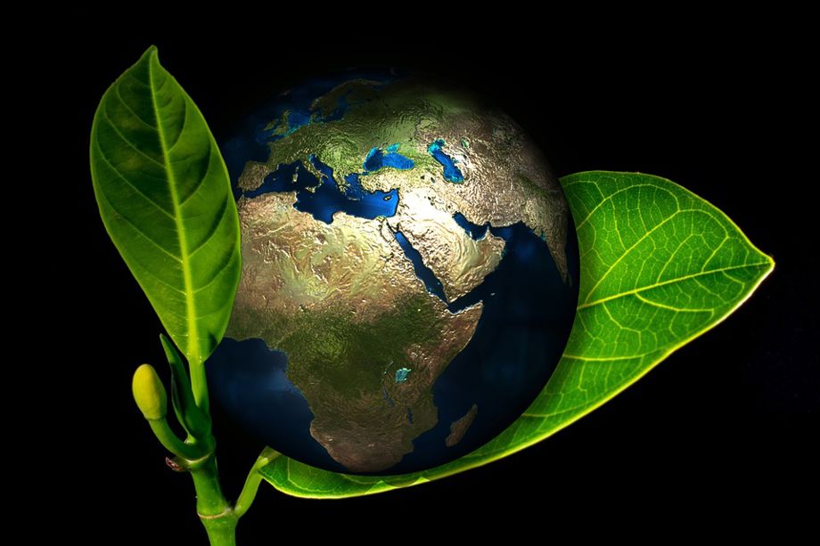 IFC, Finland join forces to spur private sector financing for climate change
