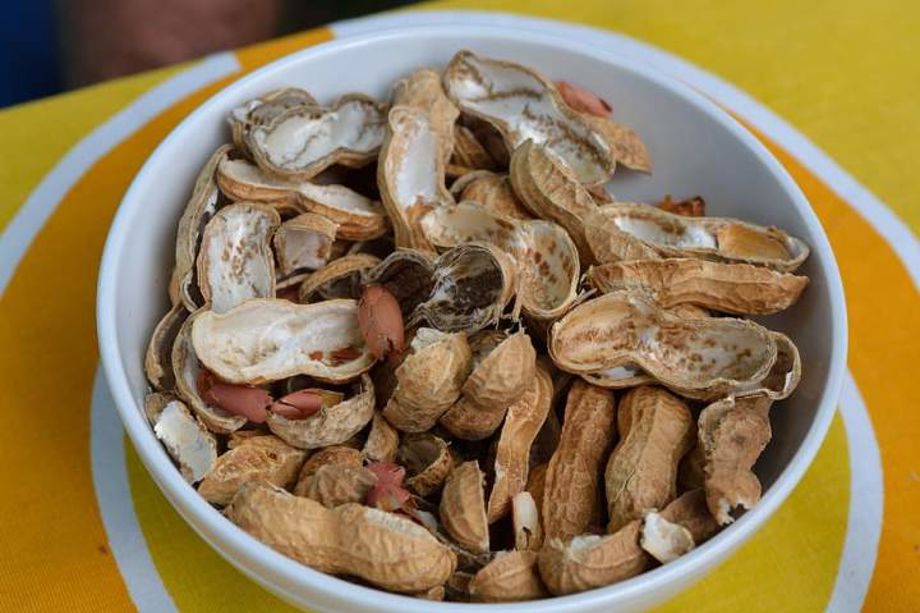 Indian scientists develop eco-friendly smart screen from groundnut ...