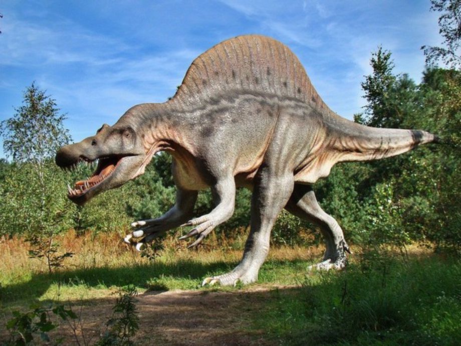 The sad and sorry story of Dolly the diseased and doomed dinosaur ...
