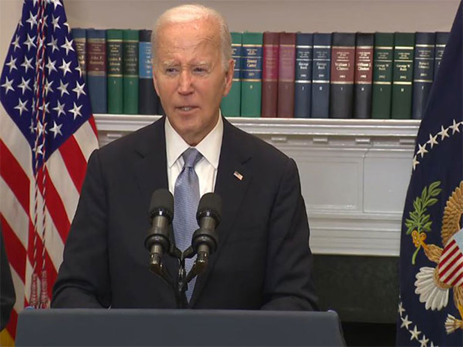 Biden Steps Down: Kamala Harris to Lead Democratic Campaign | Politics