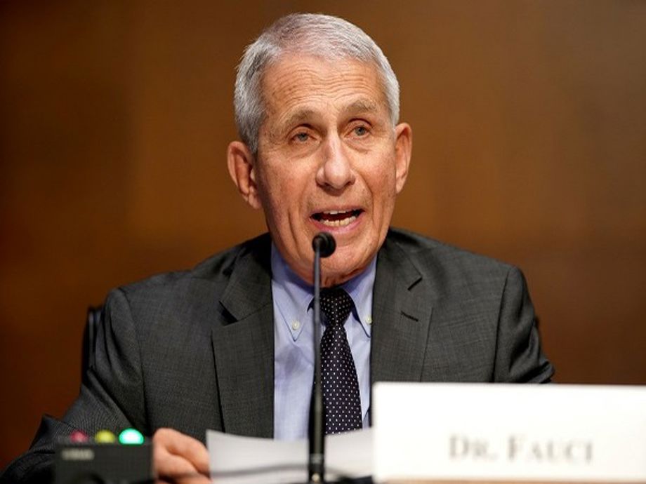 Image for Fauci Faces Legal Showdown: Congressional Contempt Battle Looms