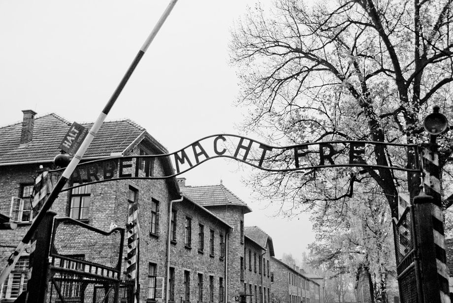 UNESCO signs agreement with Successor States of Yugoslavia to install exhibition on Holocaust