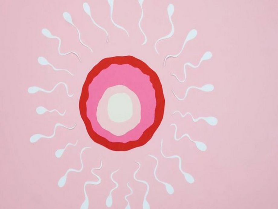 Man who fathered hundreds barred from sperm donation