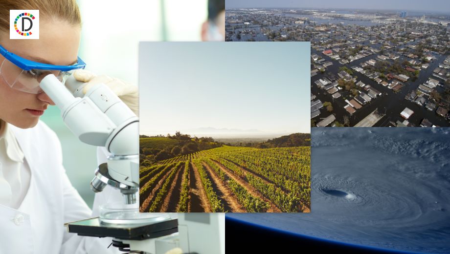 RPT-ROI-Transatlantic rate convergence may be a mirage: Mike Dolan