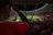 Bencharki brace propels Al Ahly past Zamalek in Cairo derby, reigniting title race — image 1