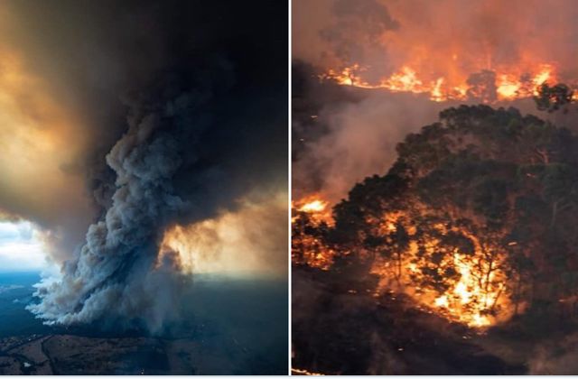 Australia burning in bushfires, 17 humans and 480 animals burnt alive 