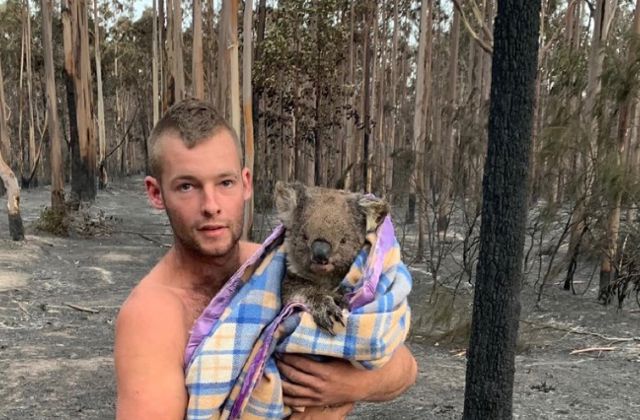 480 million wild animals burnt in Australia Fires 