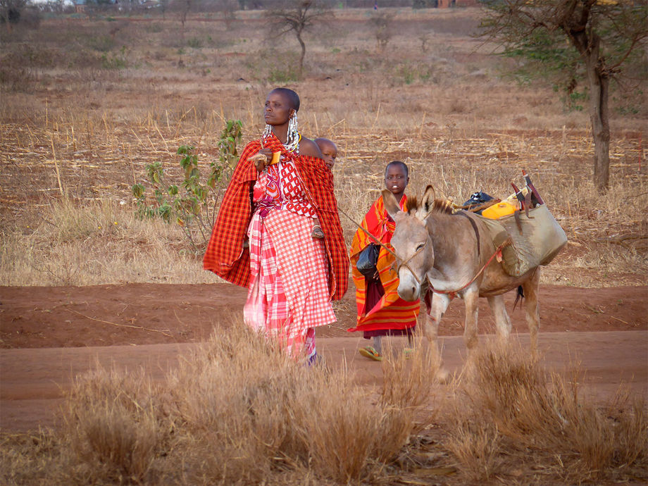 masaai woman and children with donkey