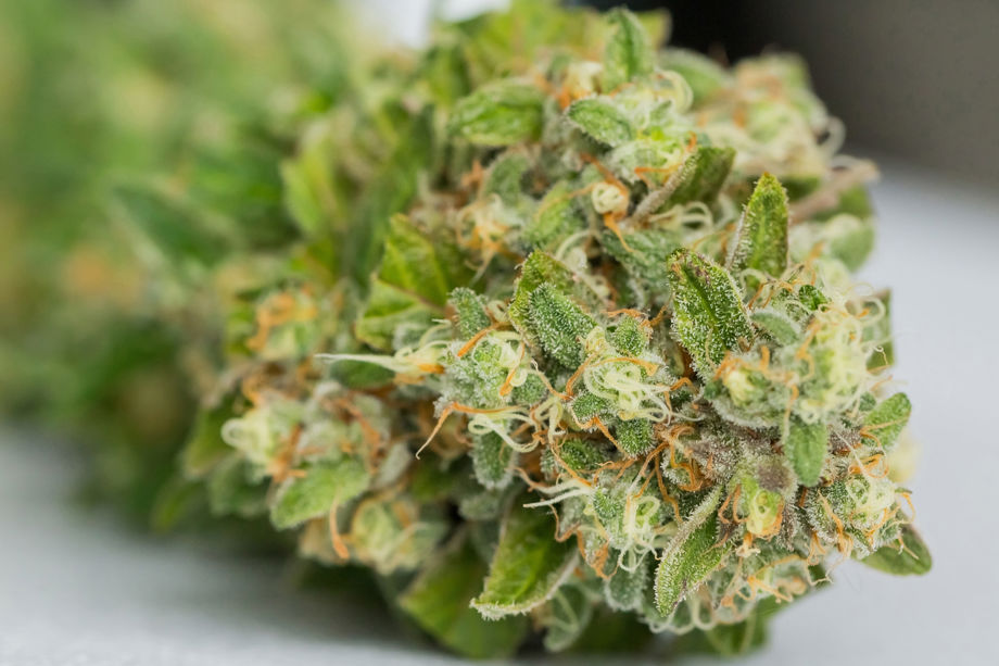 Factor Label Format What Factors Should You Consider When Buying THC Flower? | Health
