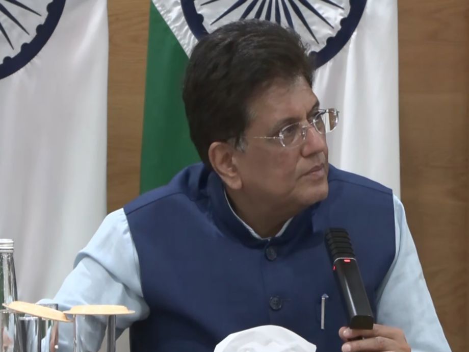 India's Strategic Trade Partnerships Amid Global Protectionism | Business