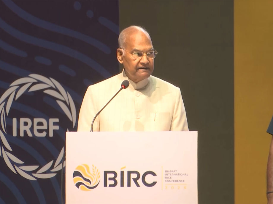 Windows Ricer India must prioritise sustainable cultivation, stronger farmer-market ...