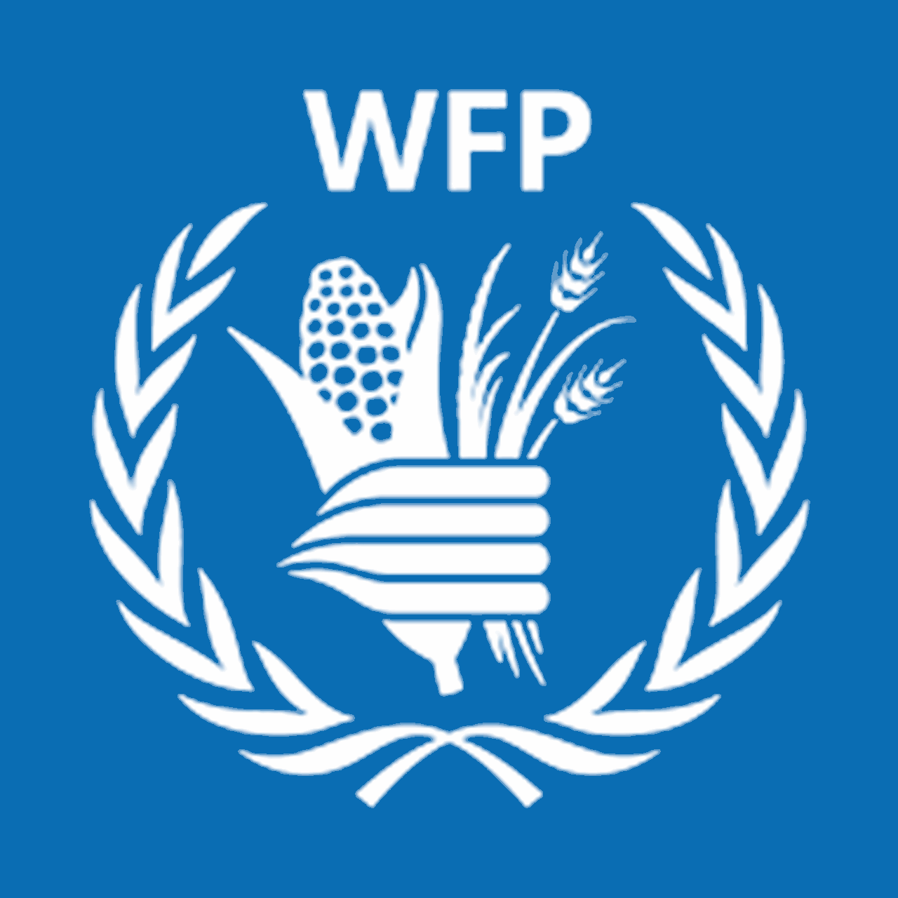 Всемирная продовольственная программа. WFP. Продовольственная программа ООН. Всемирная продовольственная программа логотип. Продовольственная оон