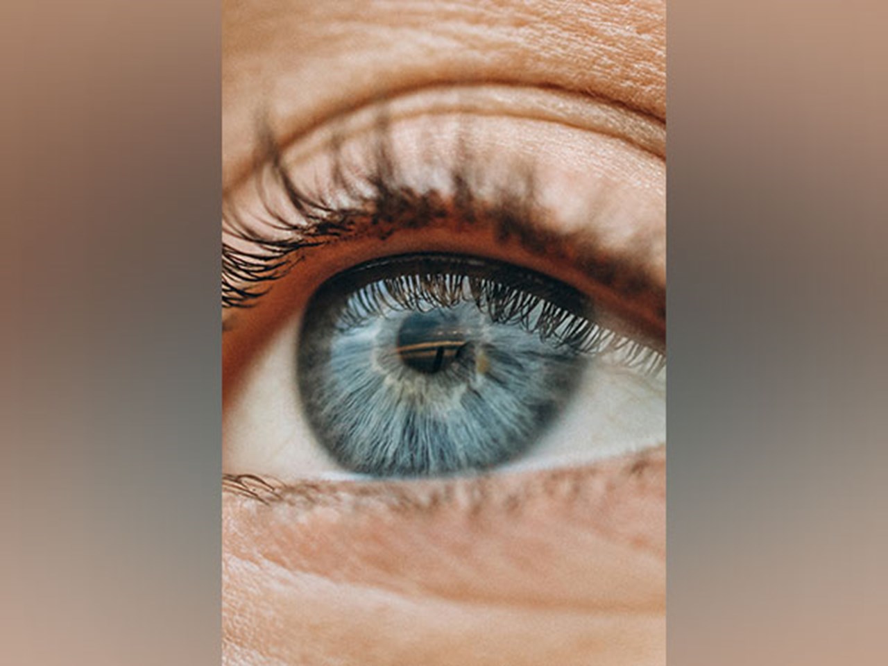 Une étude révèle que les yeux humains jouent des “tours” aux esprits