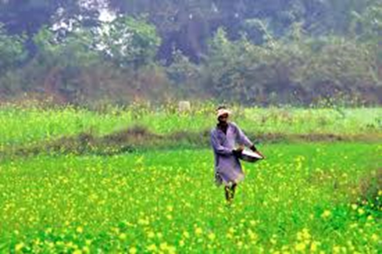 ADB signs $125M loan with L&T Finance to support financing in rural and  peri-urban areas in India | Business
