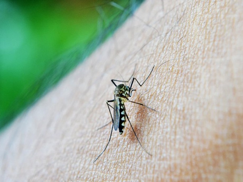 Centre rushes high-level team to Maharashtra to support state in effective public health interventions for Zika Centre rushes high-level team to Maharashtra to support state in effective public health interventions for Zika