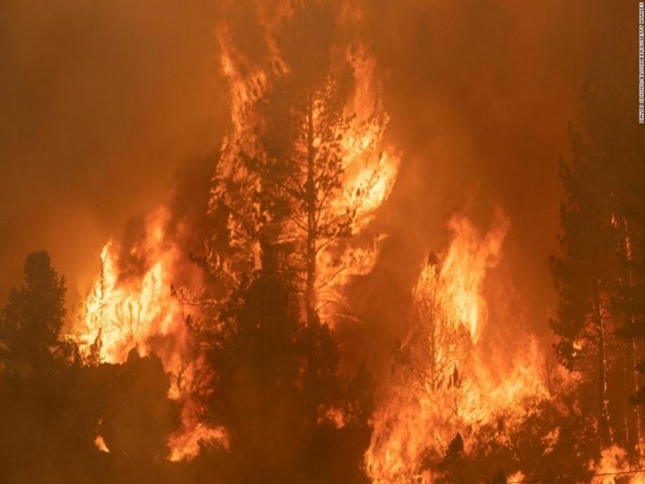 RESUMEN 1 – Los incendios forestales arrasan Francia y España mientras las olas de calor se extienden por Europa