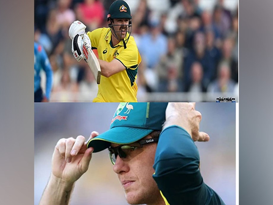 Travis Heads Rise to Cricket Dominance Travis Heads Rise to Cricket Dominance