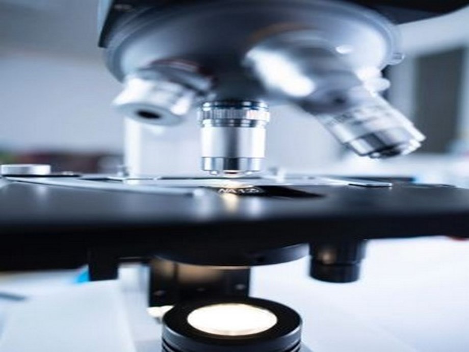 Scientists create new tool to rapidly screen molecules for anti-COVID properties Scientists create new tool to rapidly screen molecules for anti-COVID properties