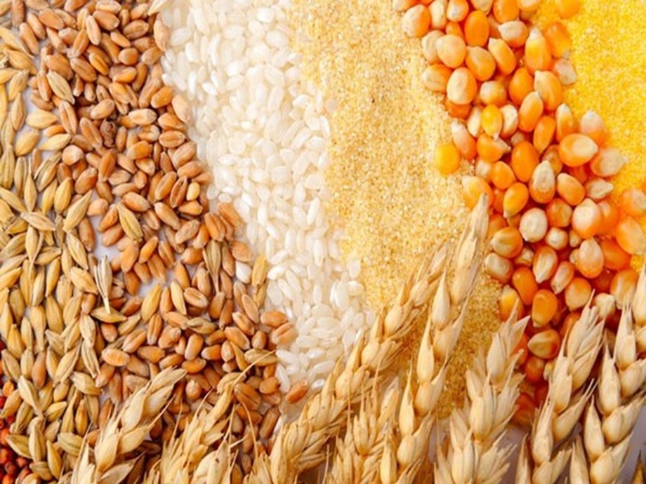 India foodgrain subsidy bill to surge 30% to $33 billion this year - source | Business