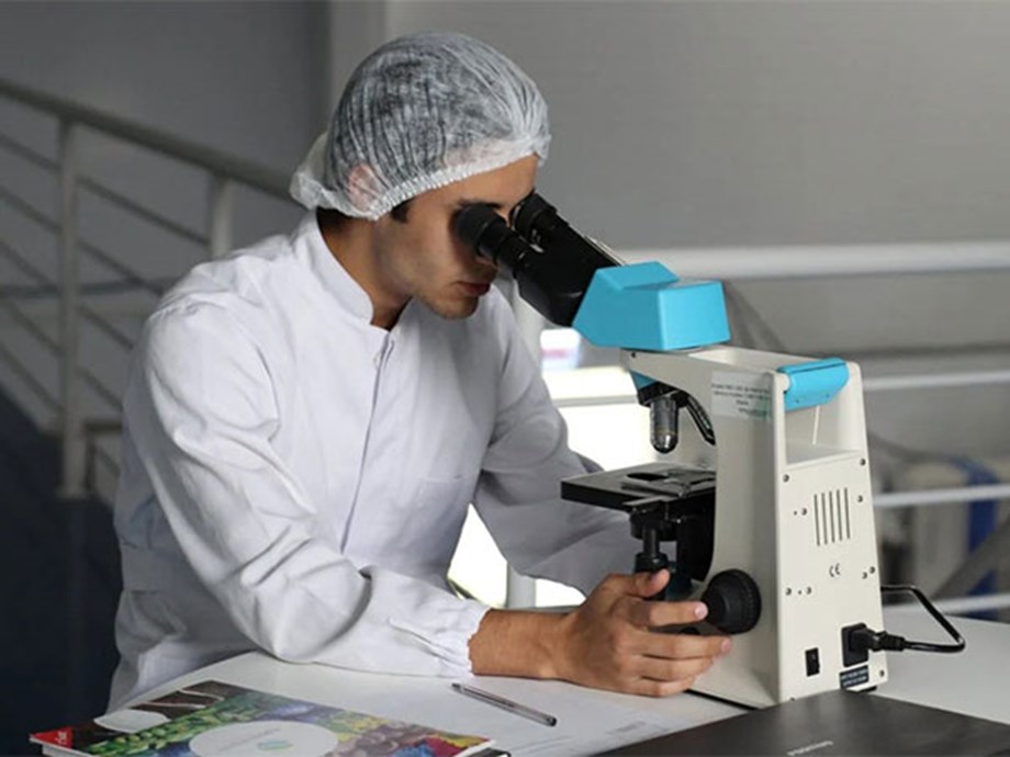 Study identifies potential targets for treatment of neuropsychiatric diseases in teens Study identifies potential targets for treatment of neuropsychiatric diseases in teens