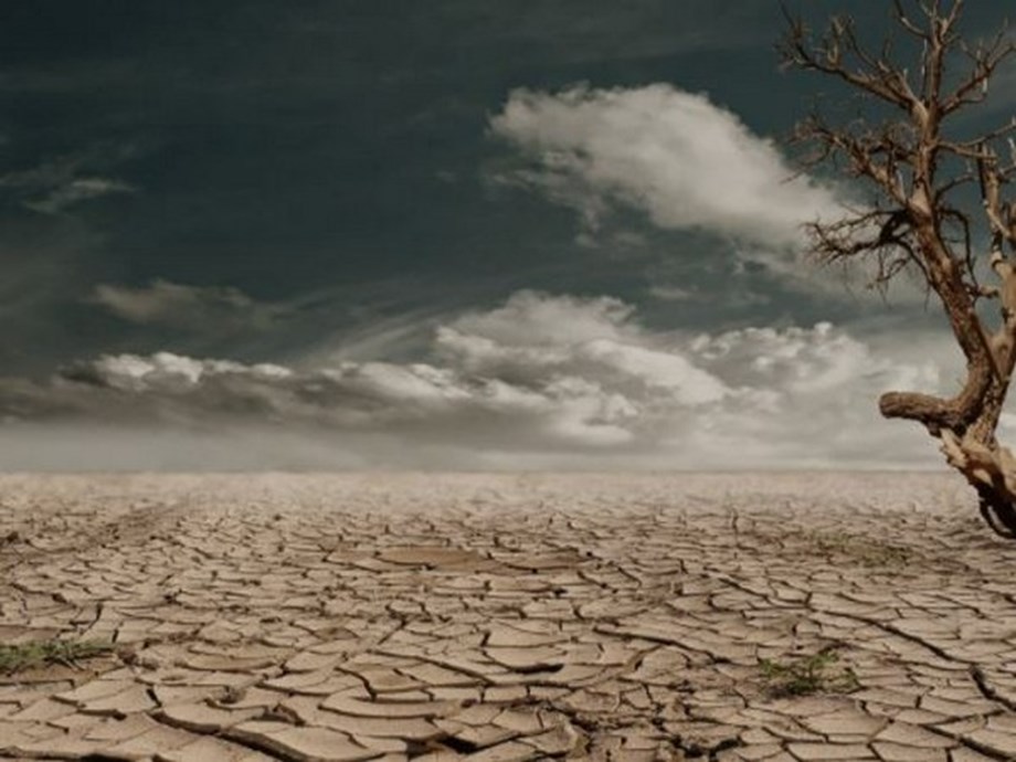 Need to address mental health effects of climate change urgently, says Report Need to address mental health effects of climate change urgently, says Report