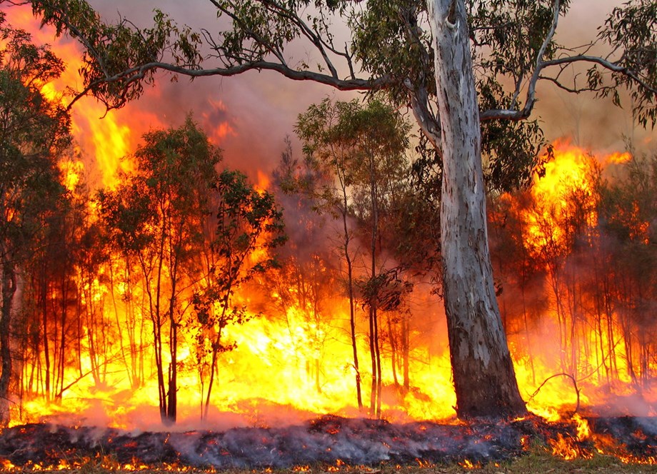 Western Australian officials warn of catastrophic bushfire conditions Western Australian officials warn of catastrophic bushfire conditions